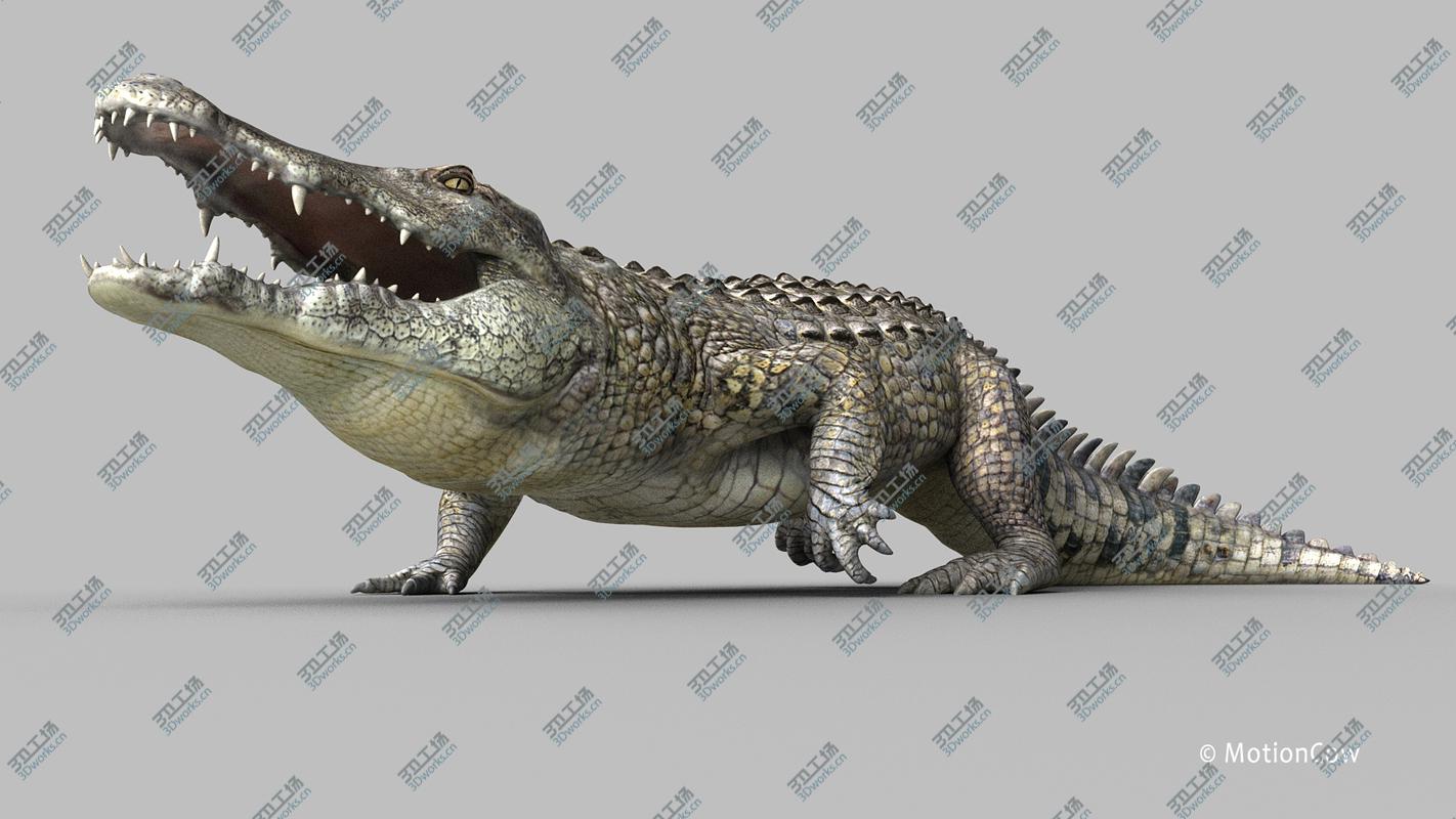 images/goods_img/20210313/3D model Crocodile Pro/5.jpg